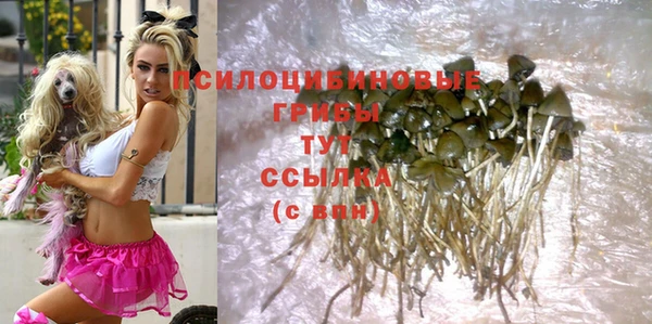 гидропоника Осинники